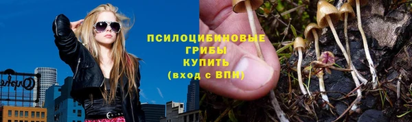 мет Алексин
