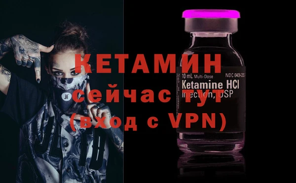 мет Алексин