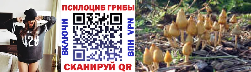 Псилоцибиновые грибы мухоморы  Тихвин 
